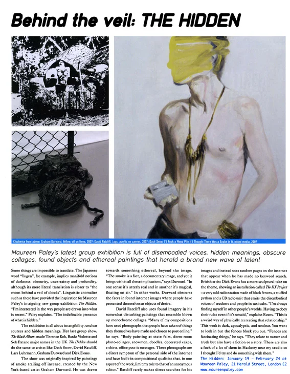 Franscesca Gavin - Dazed and Confused – The Hidden – Maureen Paley – London – 2008
