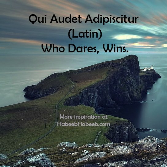 Qui Audet Adipiscitur - Latin phrase meaning Who Dares Wins | Sticker