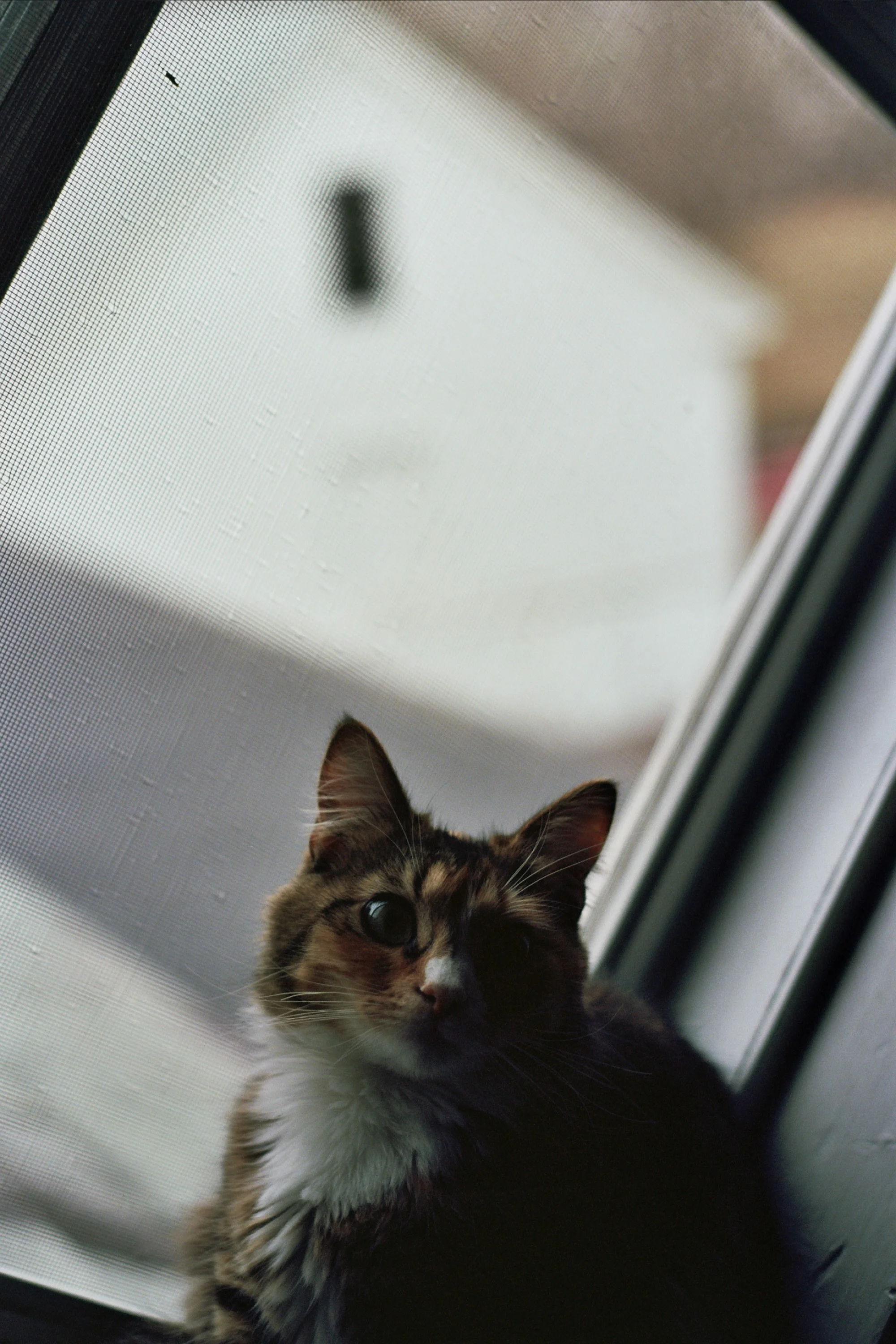 18A_0115.jpg