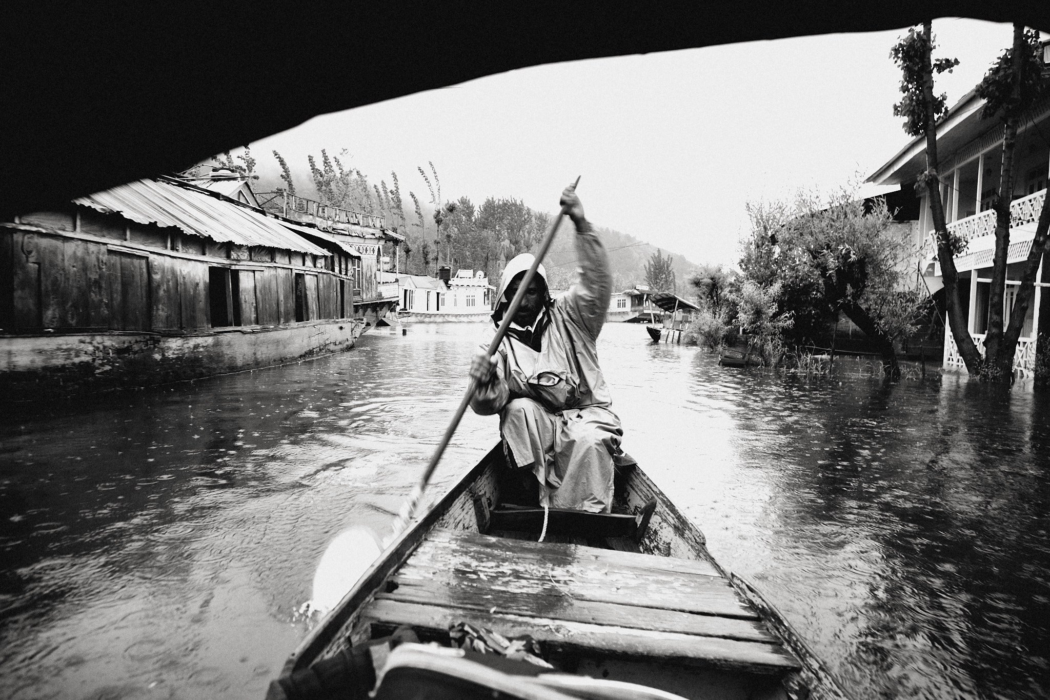 Kashmir_IMG_4401.jpg