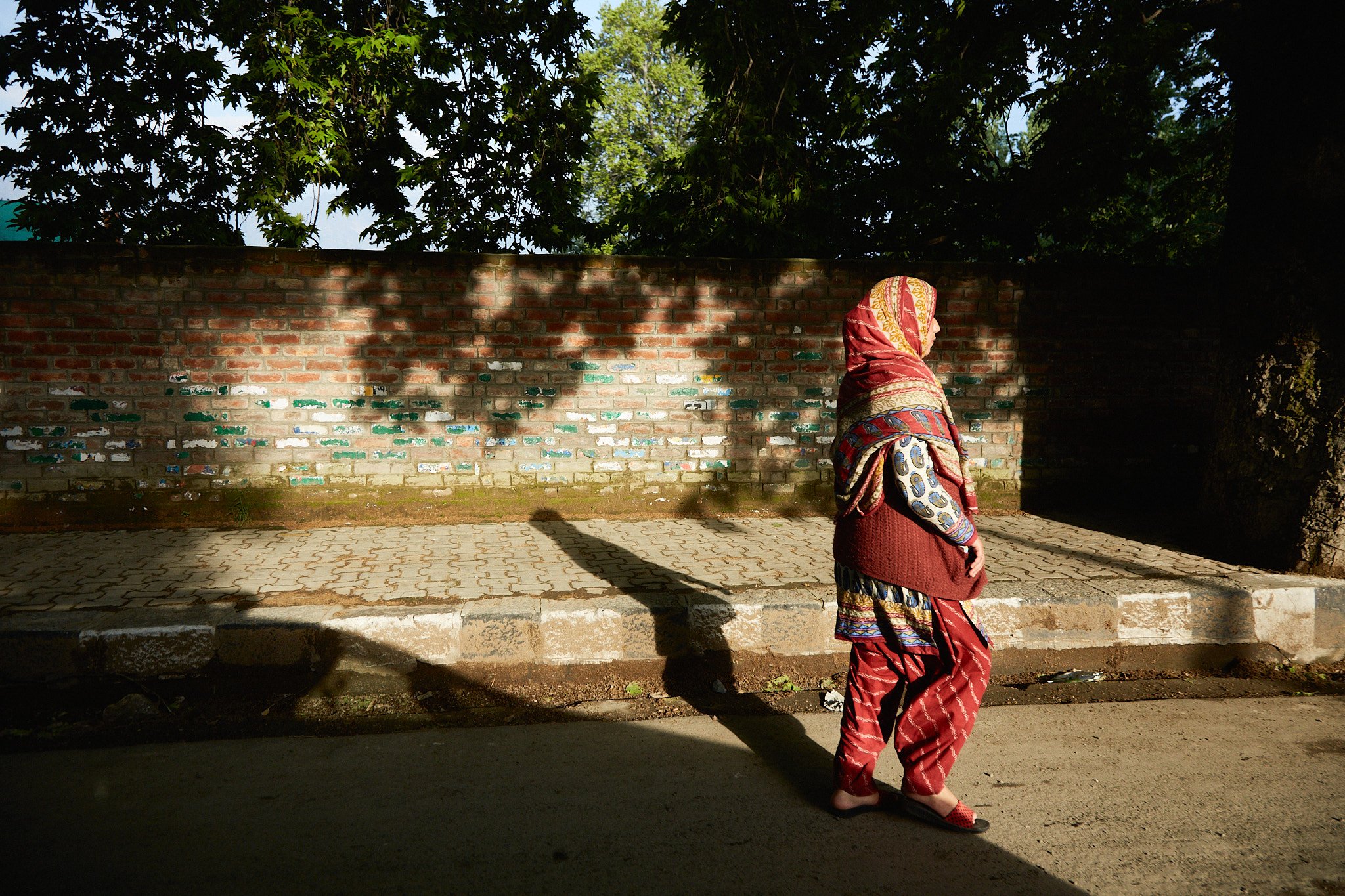 Kashmir_IMG_4558.jpg