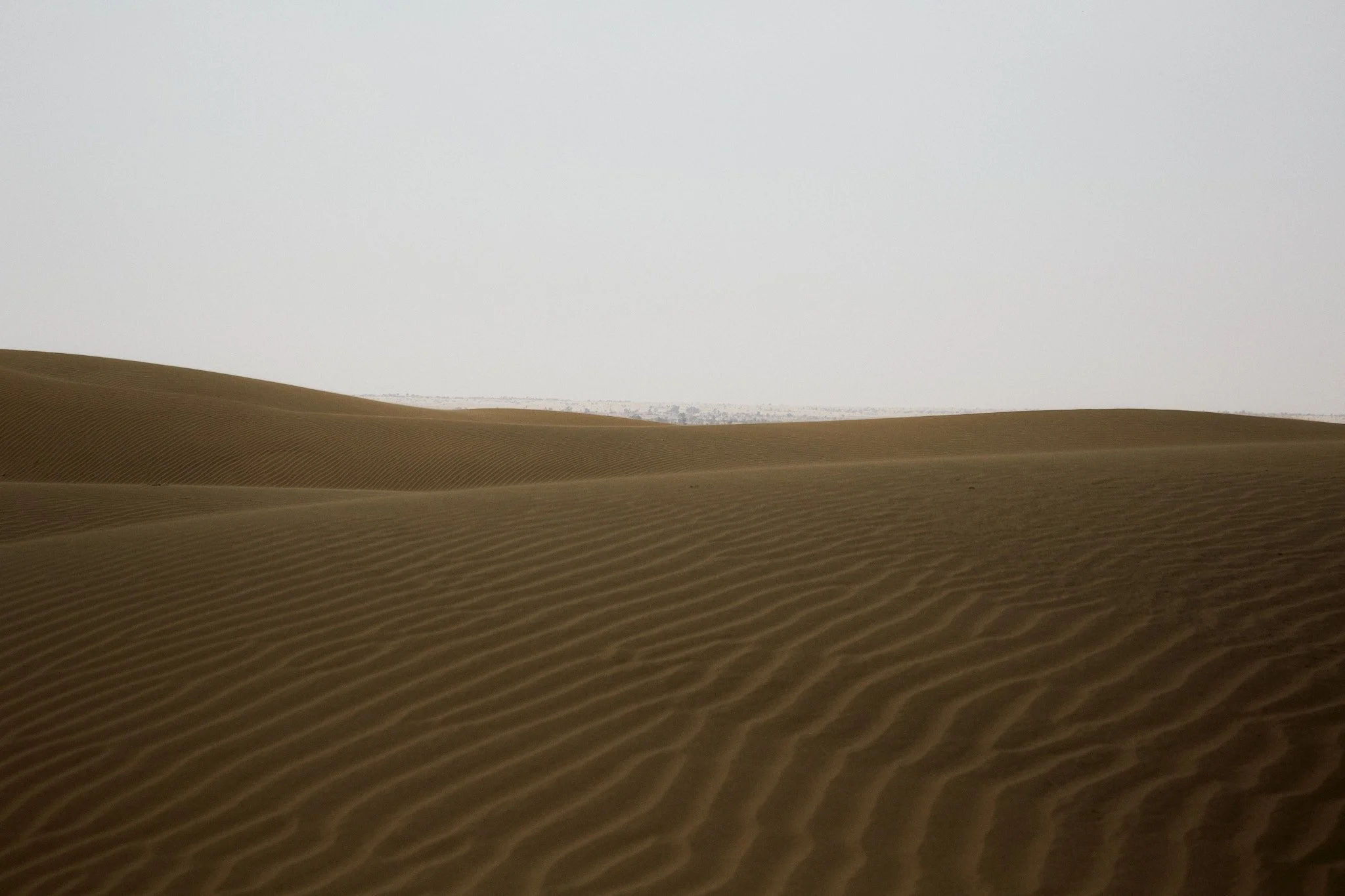 JAISALMAR_IMG_2991.jpg