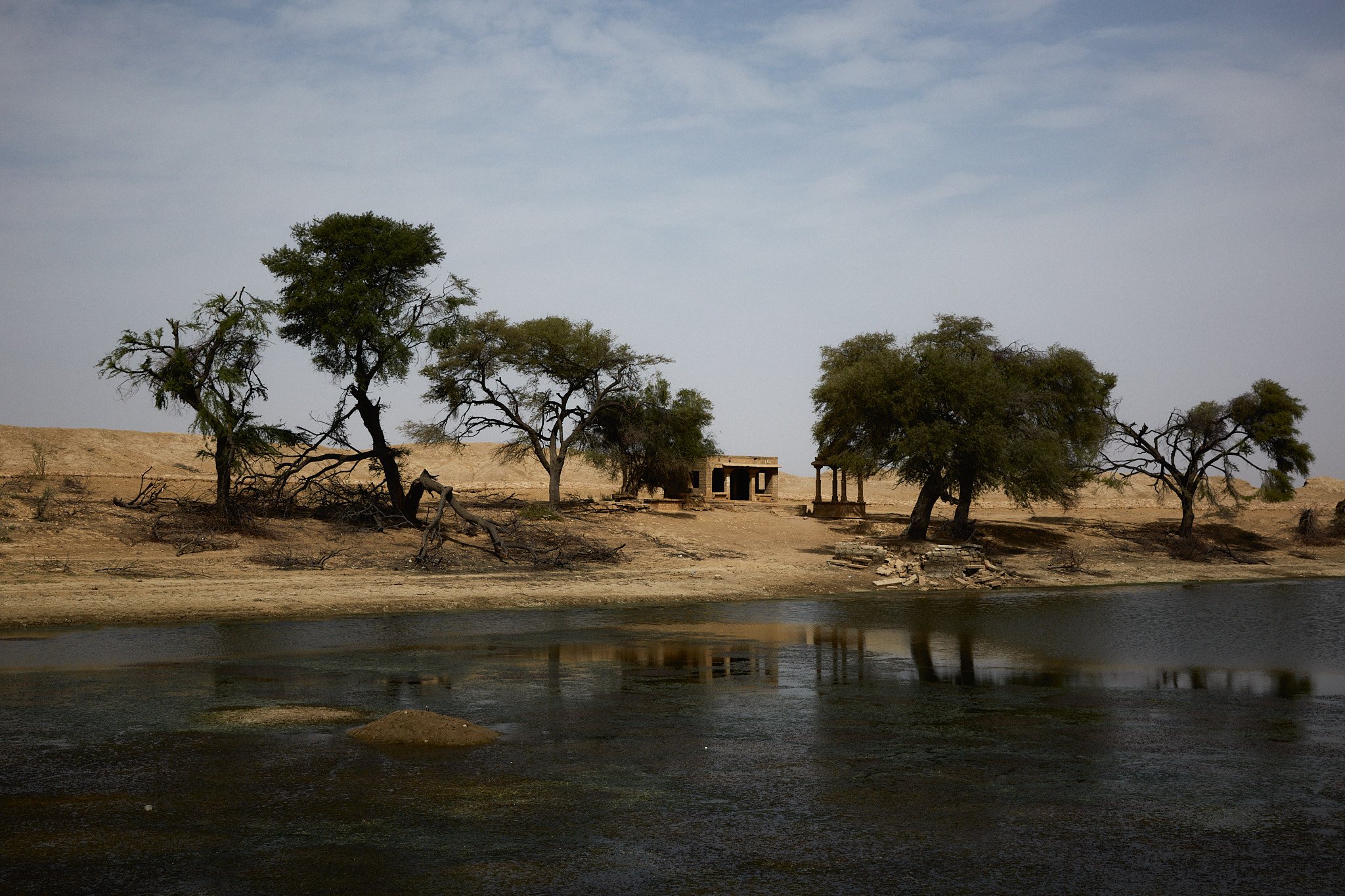 PUSHKAR_IMG_3041.jpg