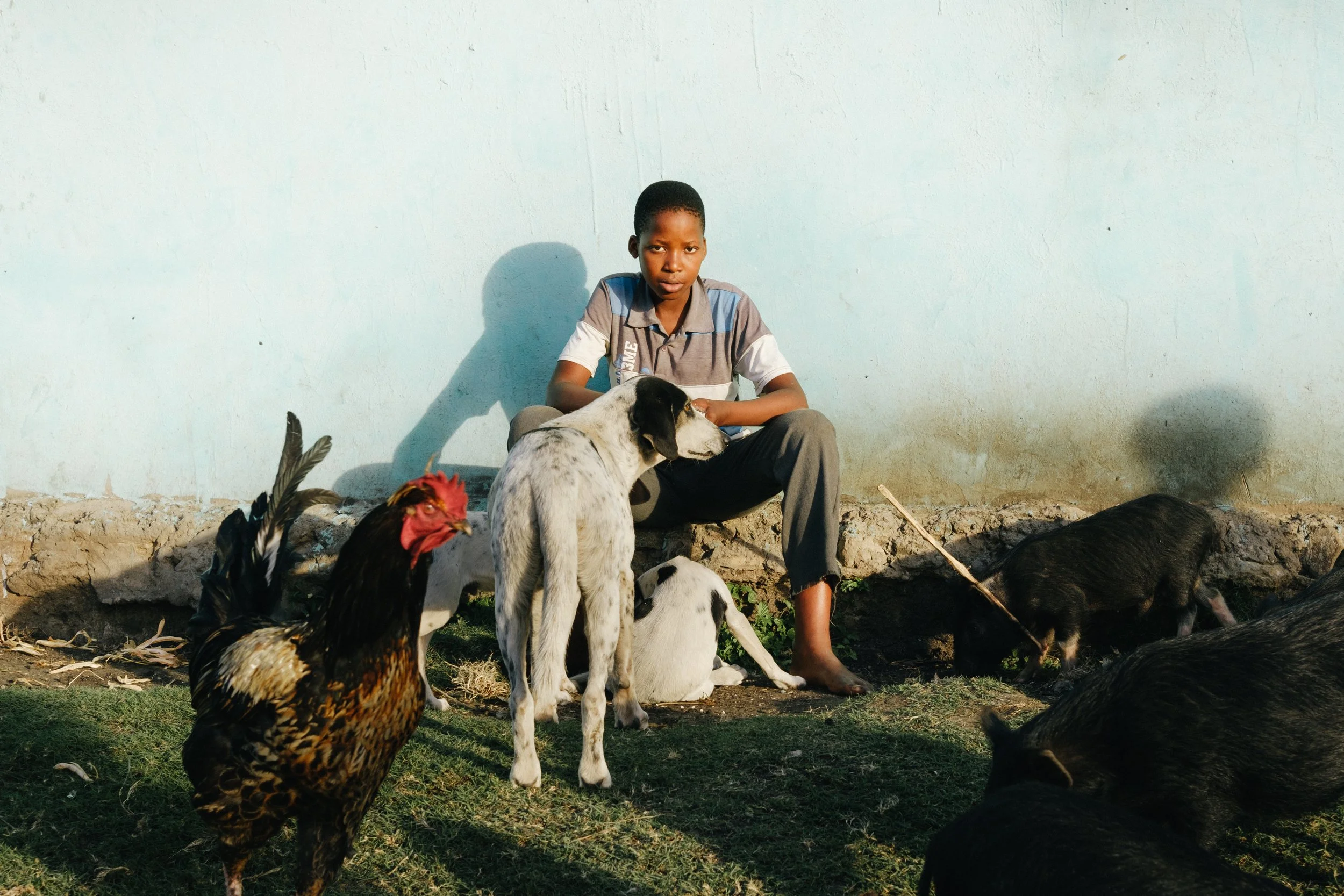 bulugula garcon animaux.jpg