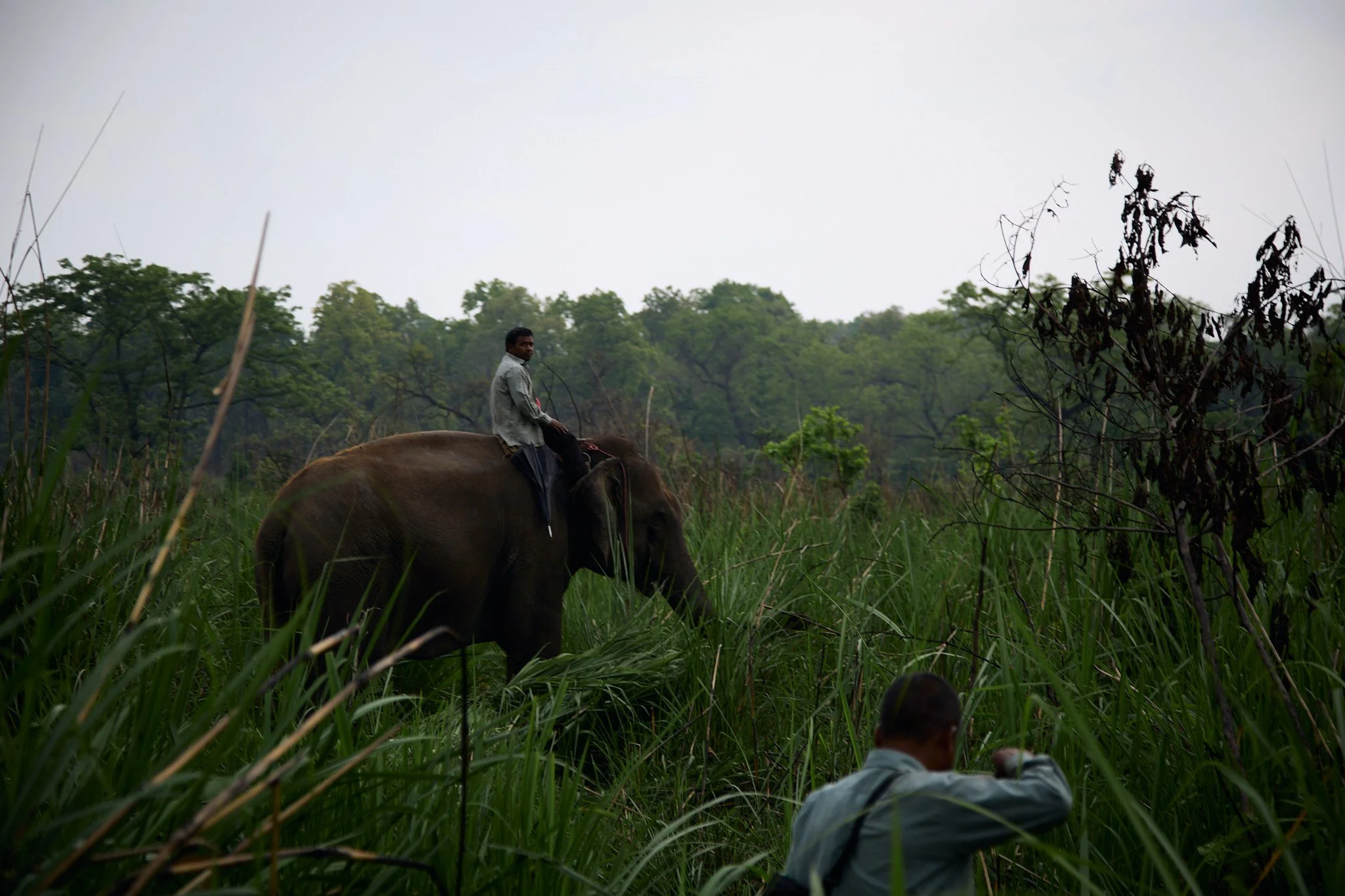 CHITWAN_IMG_4285.jpg