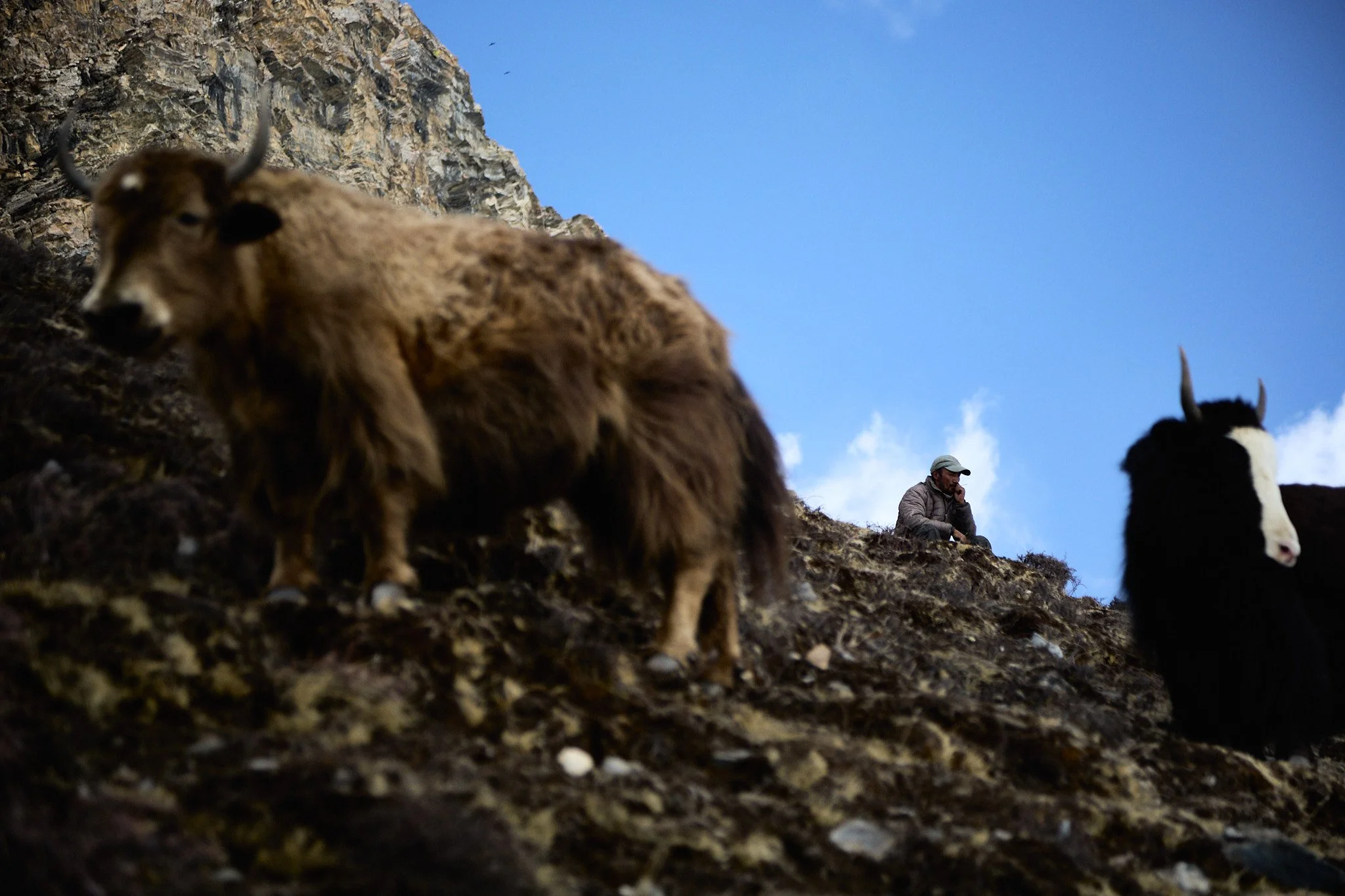 ANAPURNA_IMG_3879.jpg