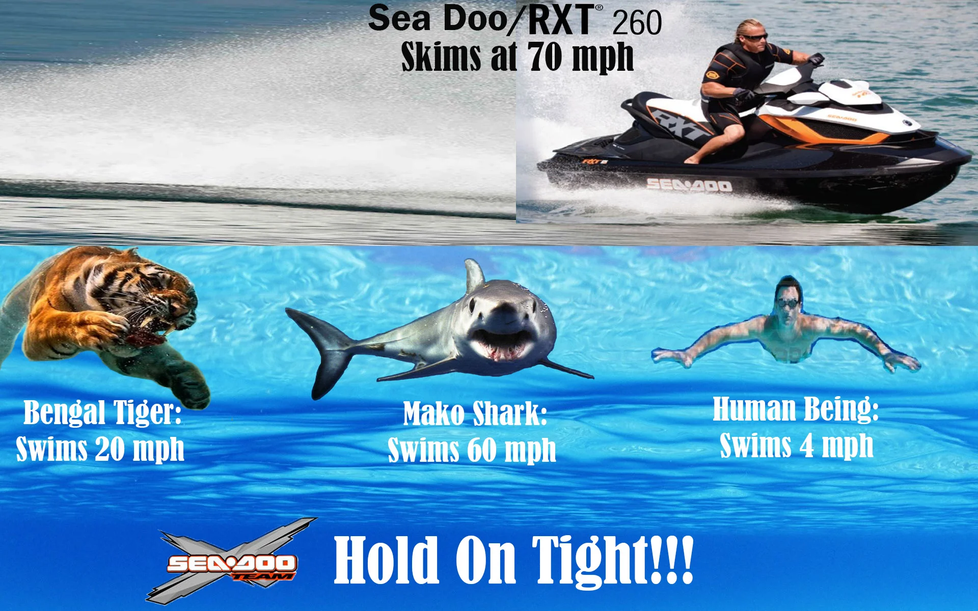 Normal
0




false
false
false

EN-US
X-NONE
X-NONE

 
 
 
 
 
 
 
 
 
 
 

MicrosoftInternetExplorer4

 
 
 
 
 
 
 
 
 
 
 

One of my first attempts at making an ad. It's pretty awful but the information is 100% true. Now I know that if I'm be…