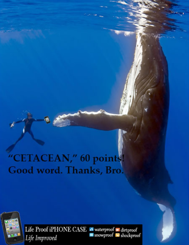 Nothin' beats a good old "Words with Friends" reference.