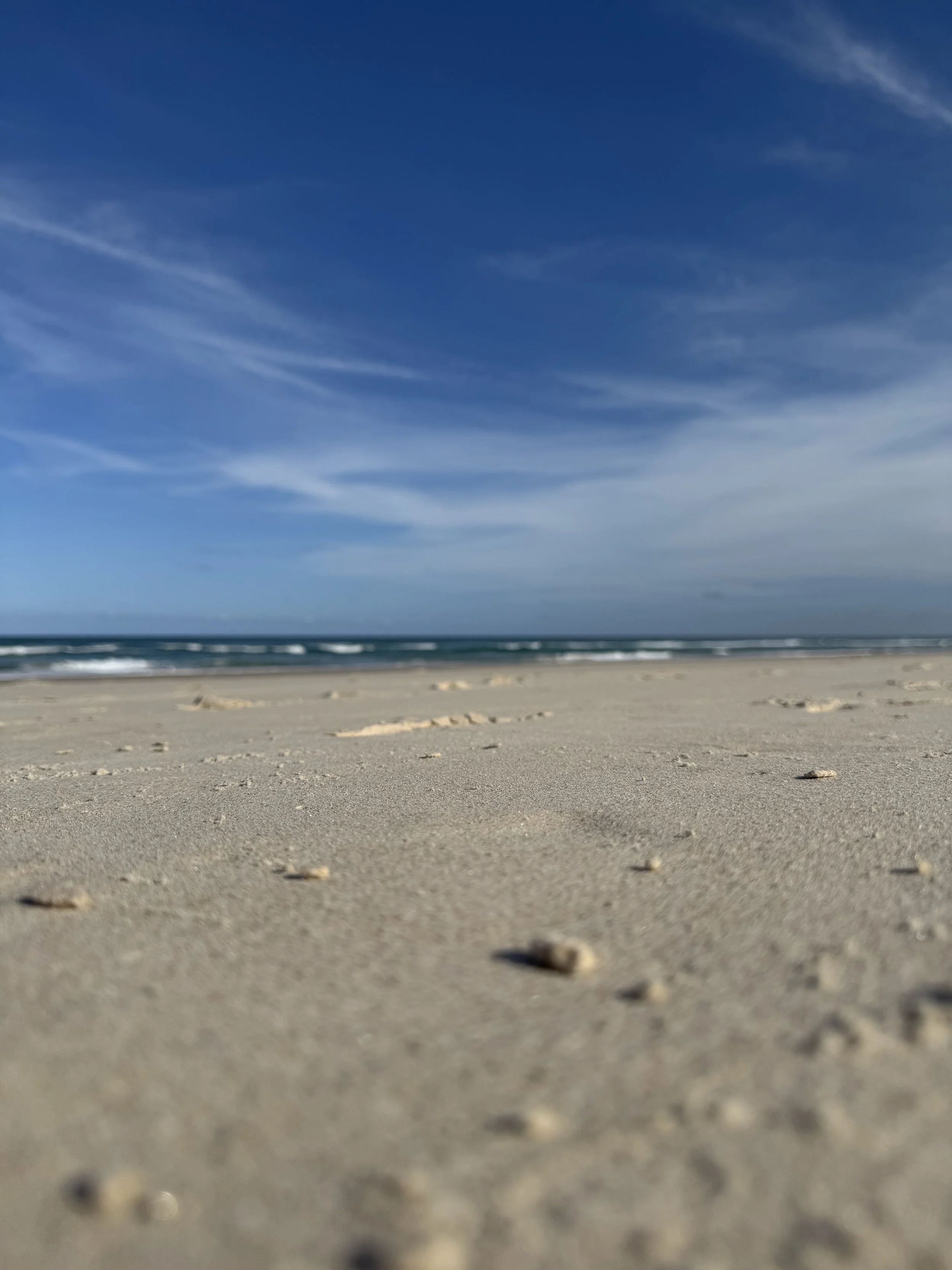 IMG_0359.jpeg
