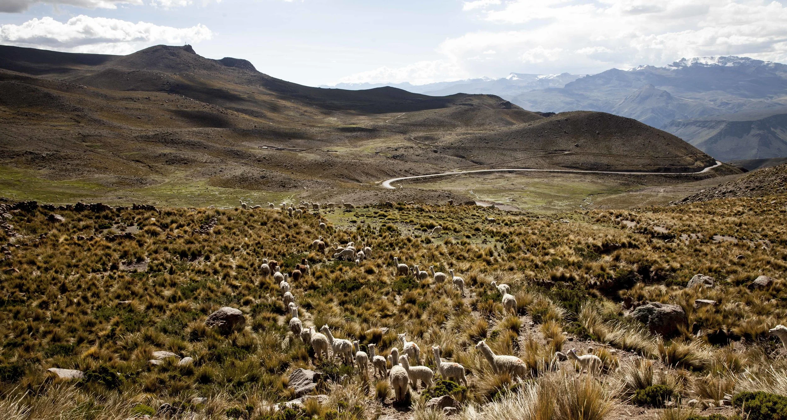 PERU2016 (53 of 89).JPG