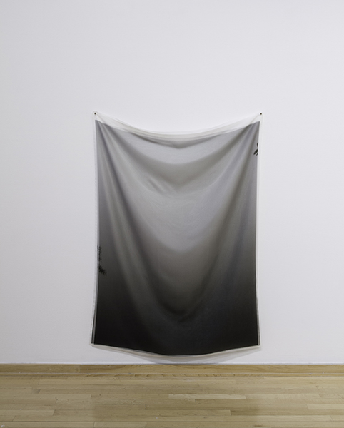 Failed Monochrome Digital Print on Silk, Digital Print on Organza, 4' 6" x 3"