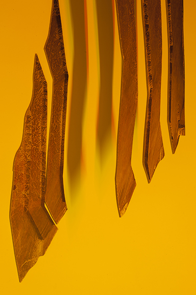 shards600.jpg