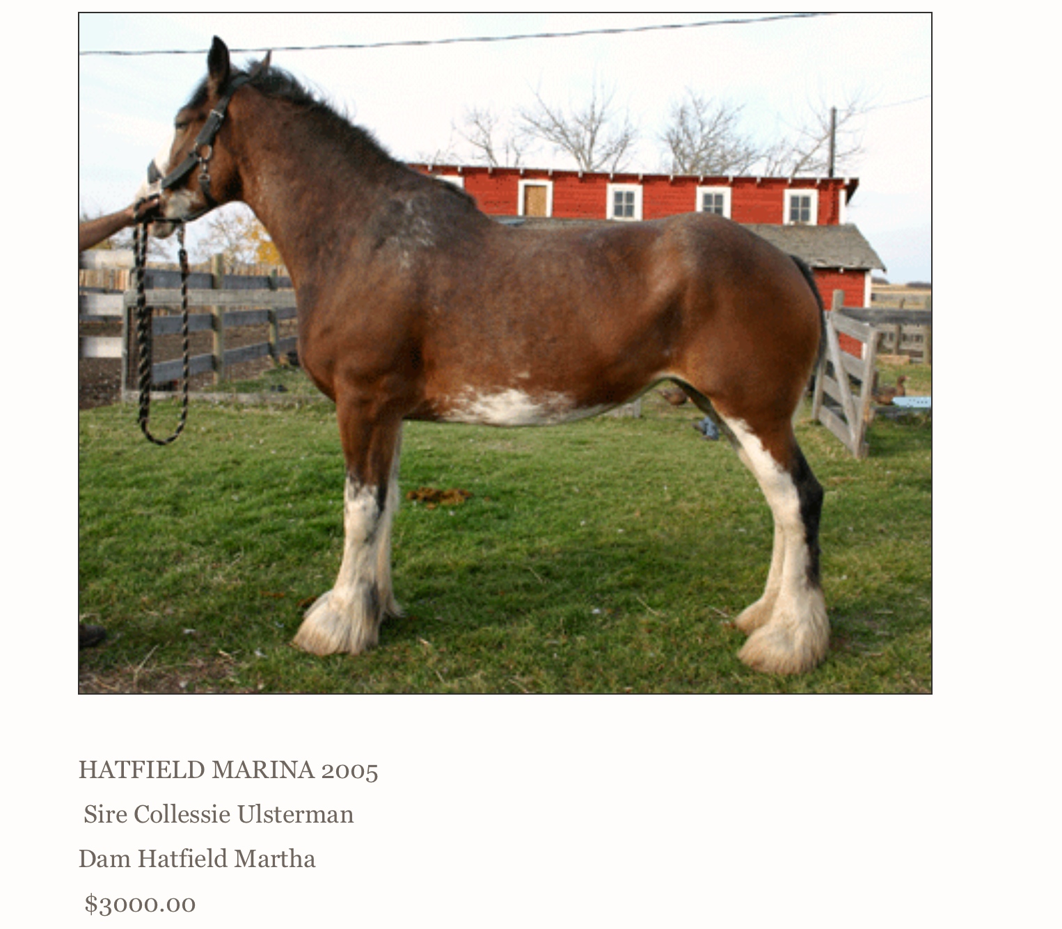 Denali Breeder Listing.jpg