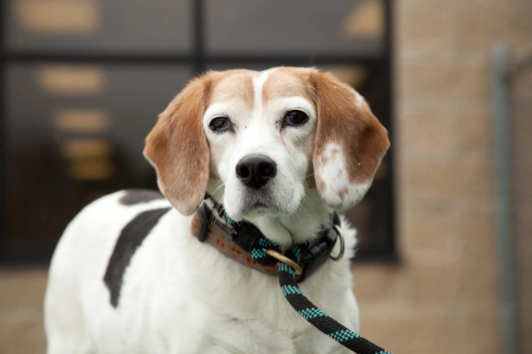 _MG_6385_greta.jpg