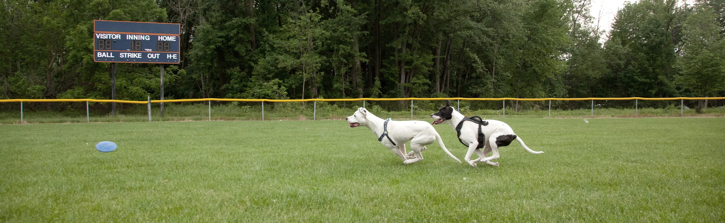 _MG_2208.jpg