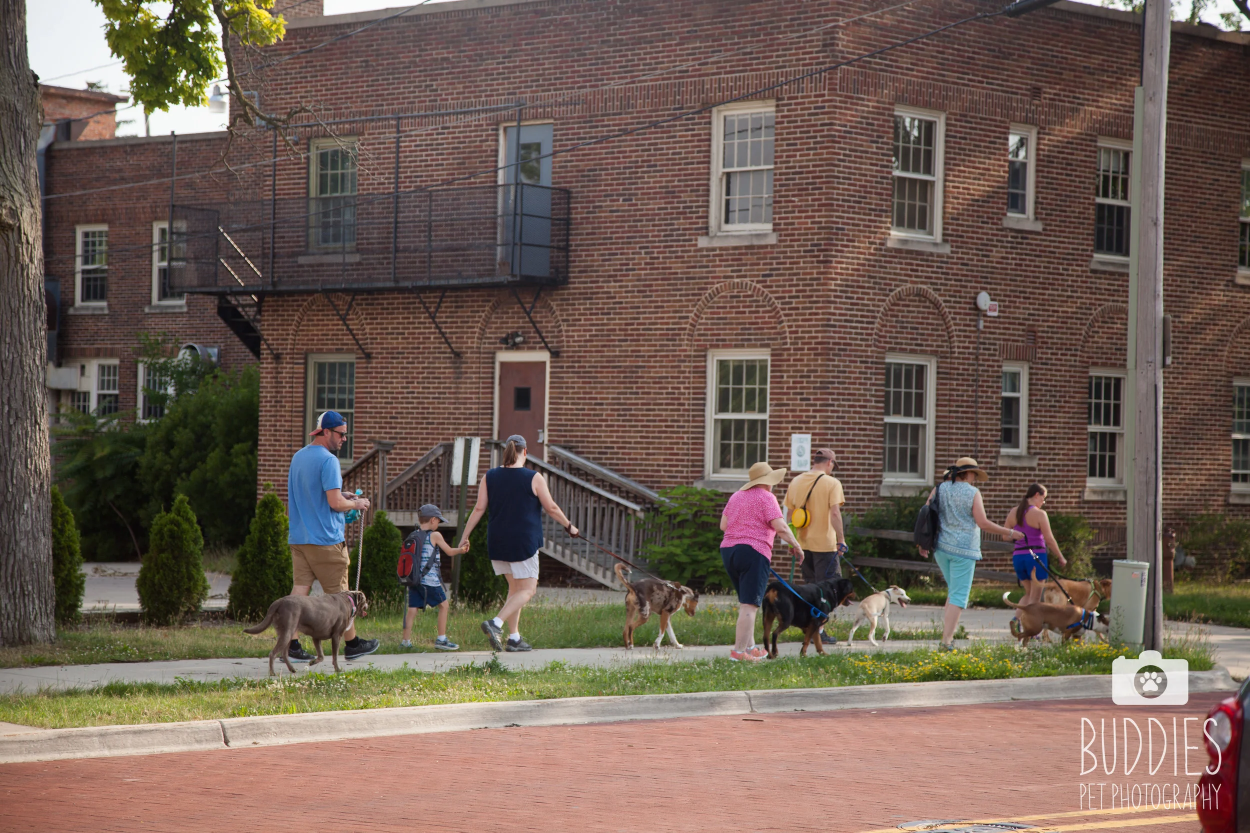_MG_3072.jpg