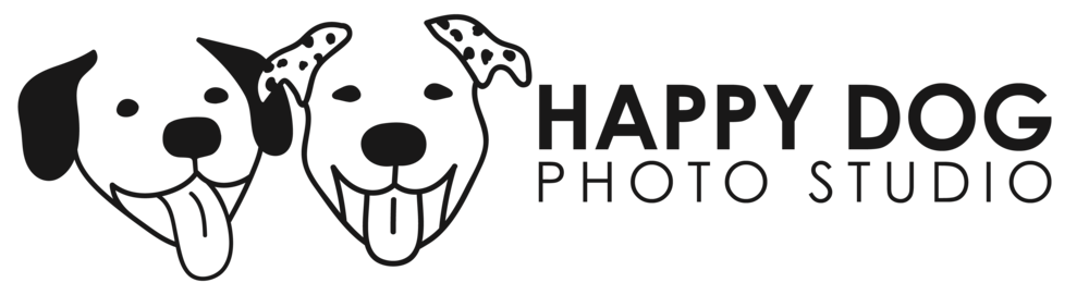 Happy Dog Photo Studio