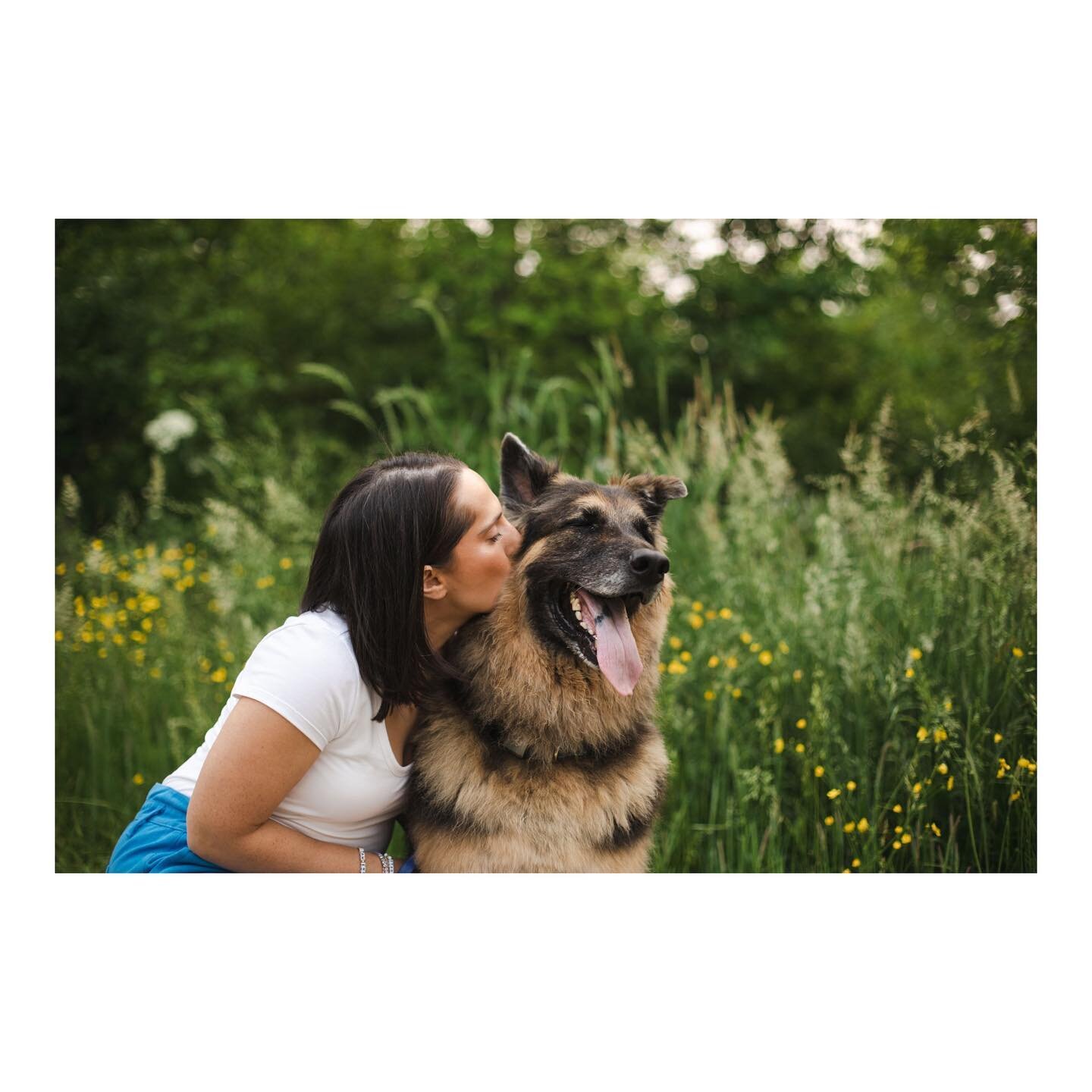 Rico with his people. 

#dogphotographer #dogsofcle #dogsarefamily #germanshepherd