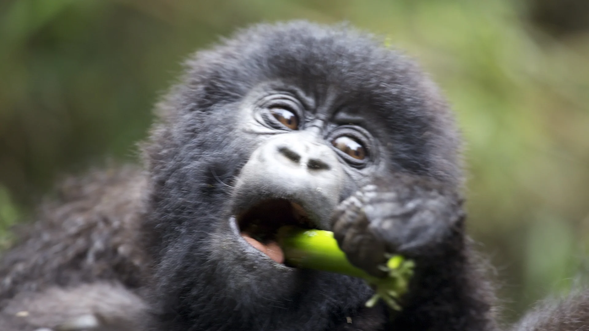 Update From The 2014 Season