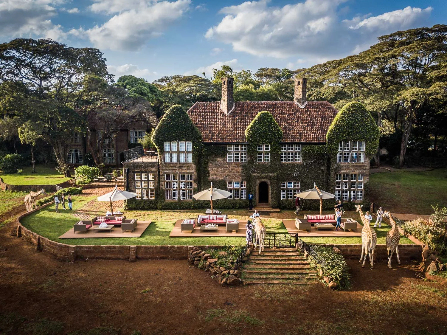 Завтрак с жирафами в Giraffe Manor