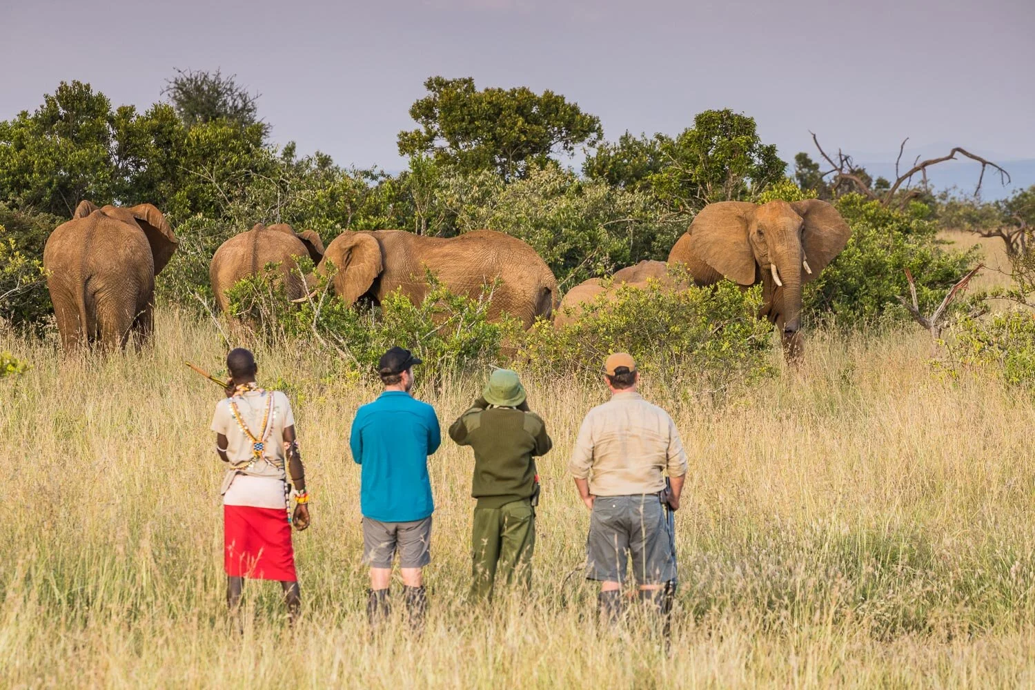 The “Five” Alive, redefining the Big Five!  