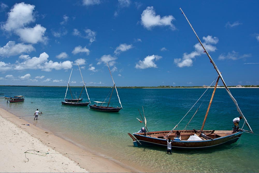 Dhows-on-the-Indian-Ocean-shore-with-Specialised-Safaris.jpg