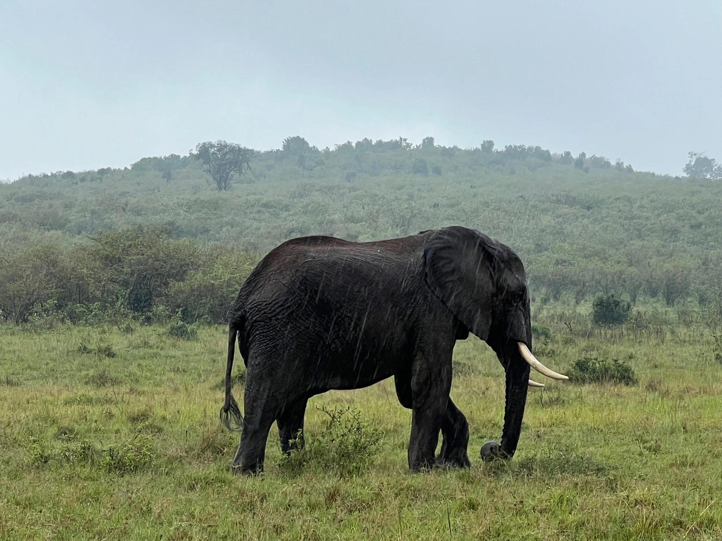 WhatsApp Image 2026-01-29 at 16 18 57 (1).jpg