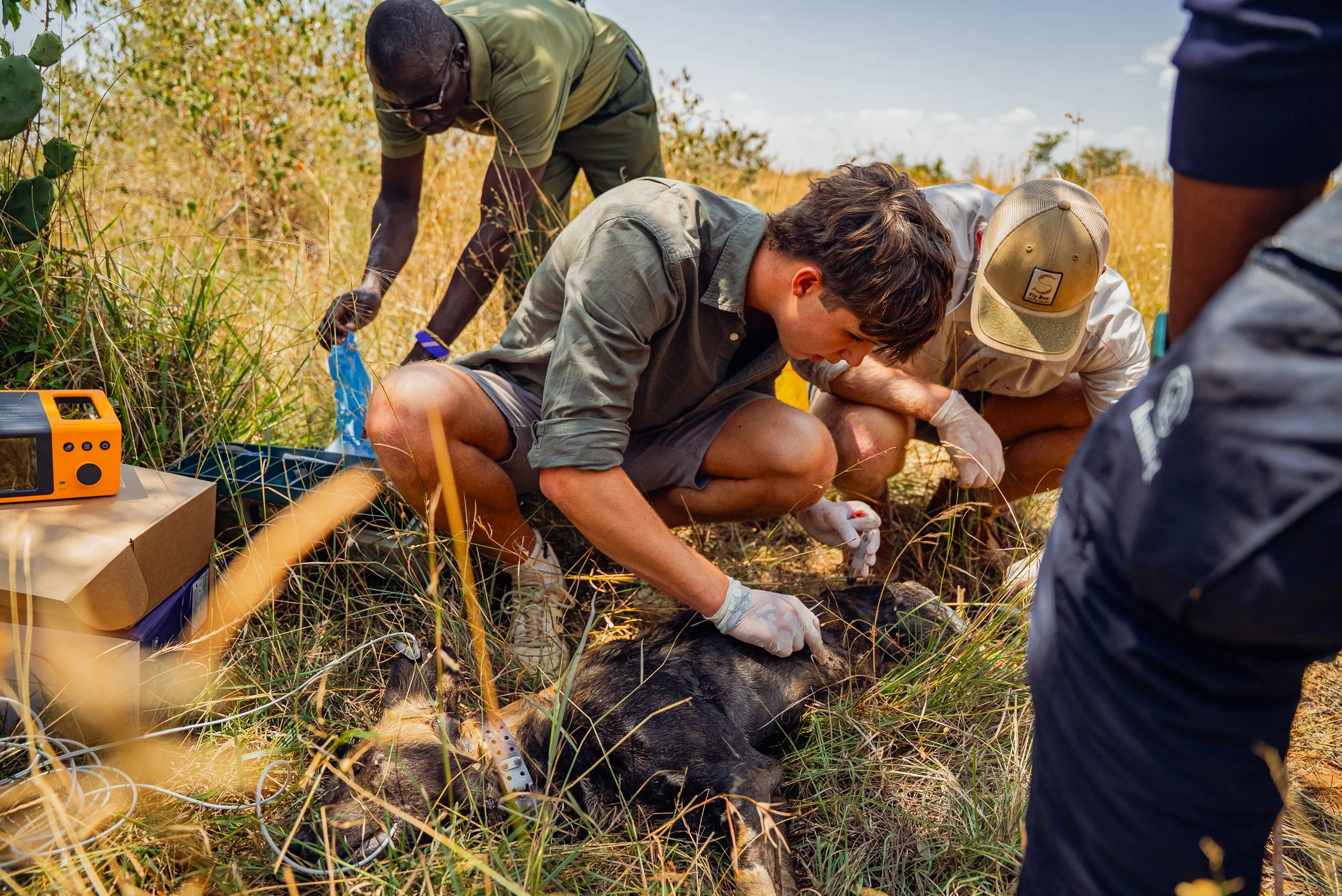 The Science Behind the Safari: Conservation Through a Family Lens&nbsp;