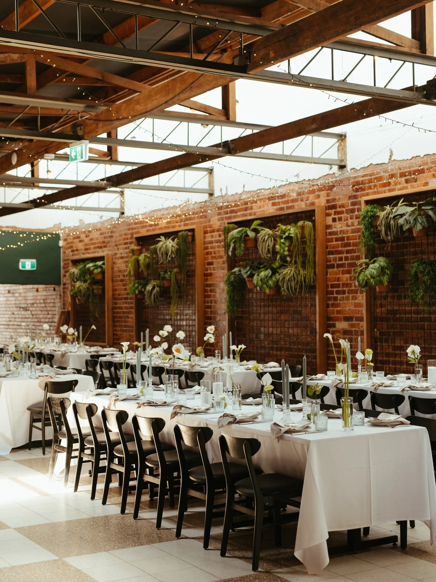 Can we please take a moment to appreciate how stunning the Dining Hall looked for M&amp;D! 

Florist: @marynormabotanicals
Photographer: @rachelmayau 
Celebrant: @loveagoodwedding
DJ: @heyjack_co
Videographer: @ellenalouiseweddings
Fairy Flights: @ry