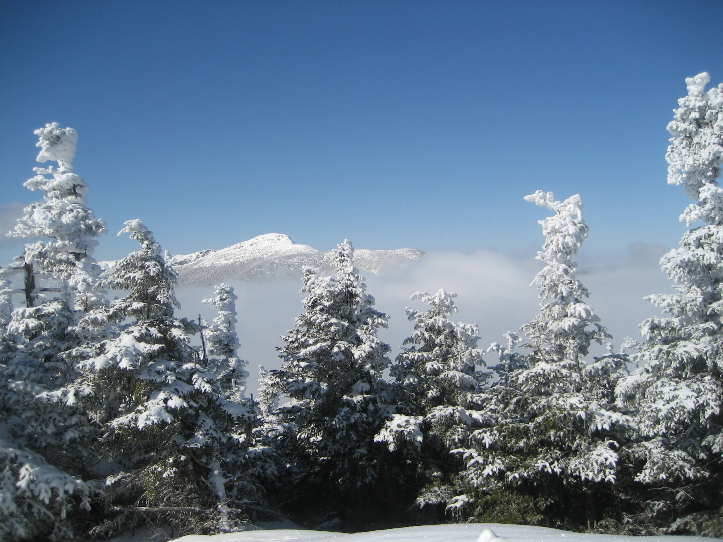 Copy of IMG_0413.JPG