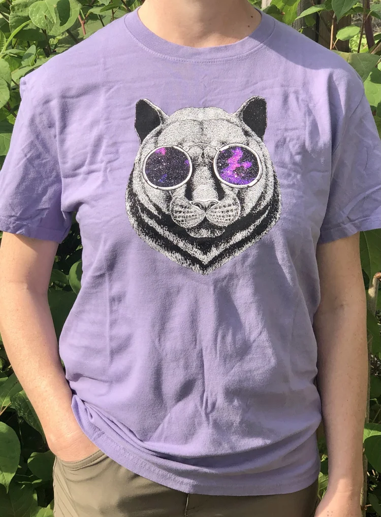 Cosmic Kitty T Shirt Biscuit Head