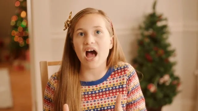 BI-LO Christmas (Copy)