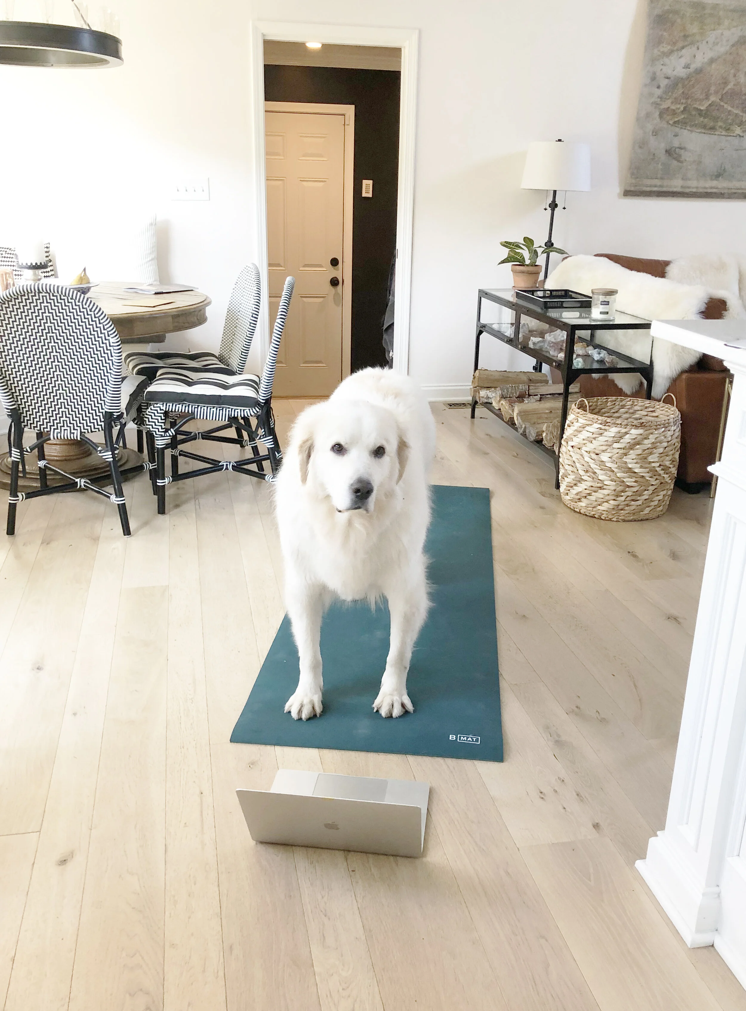 Defining Success to Find Direction in Your Career (and Life)