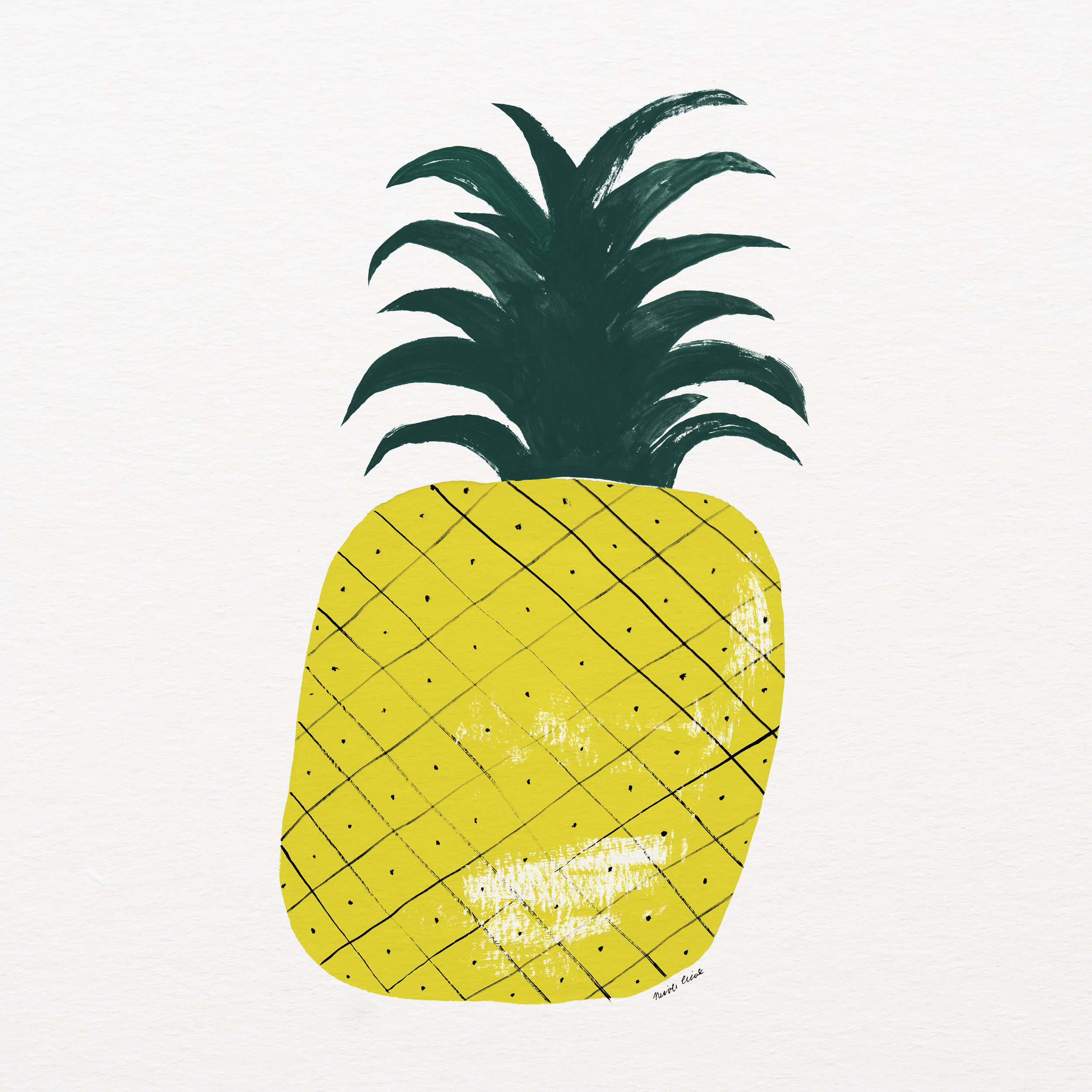 Pineapple_Nicole Cicak_Instagram.jpg