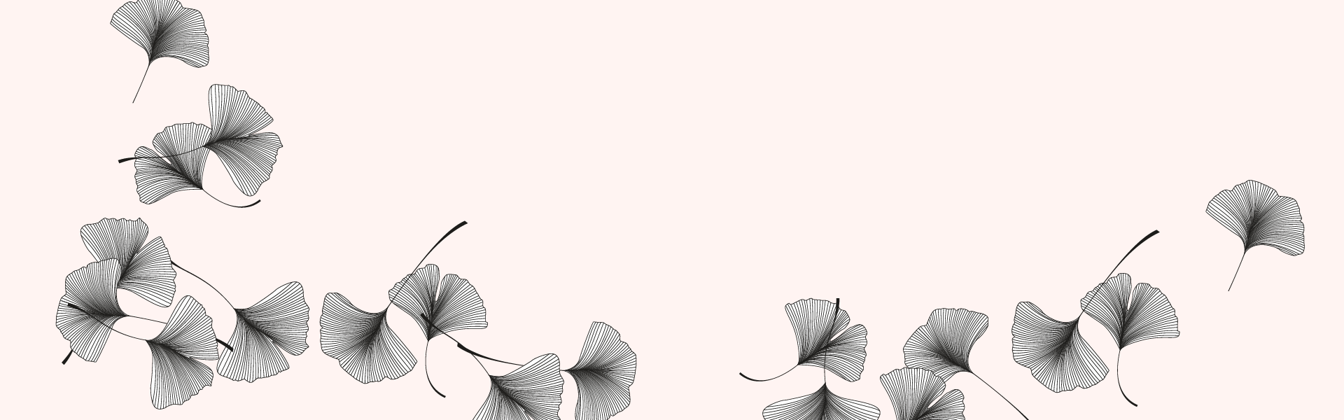 Rooted Website banner-01.png