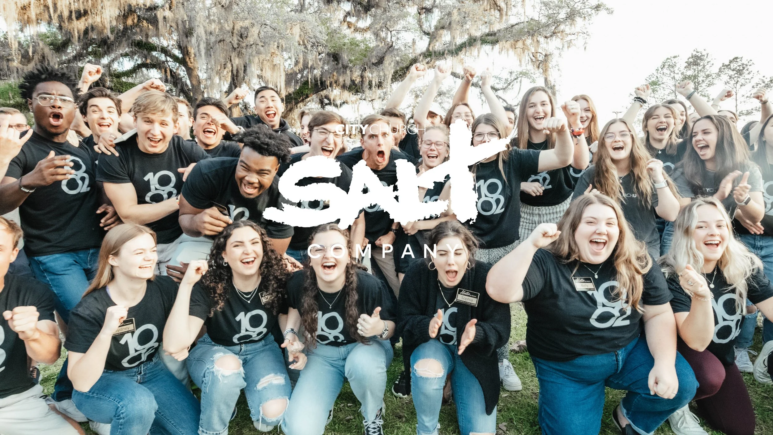 CC SALT Website 2.jpg