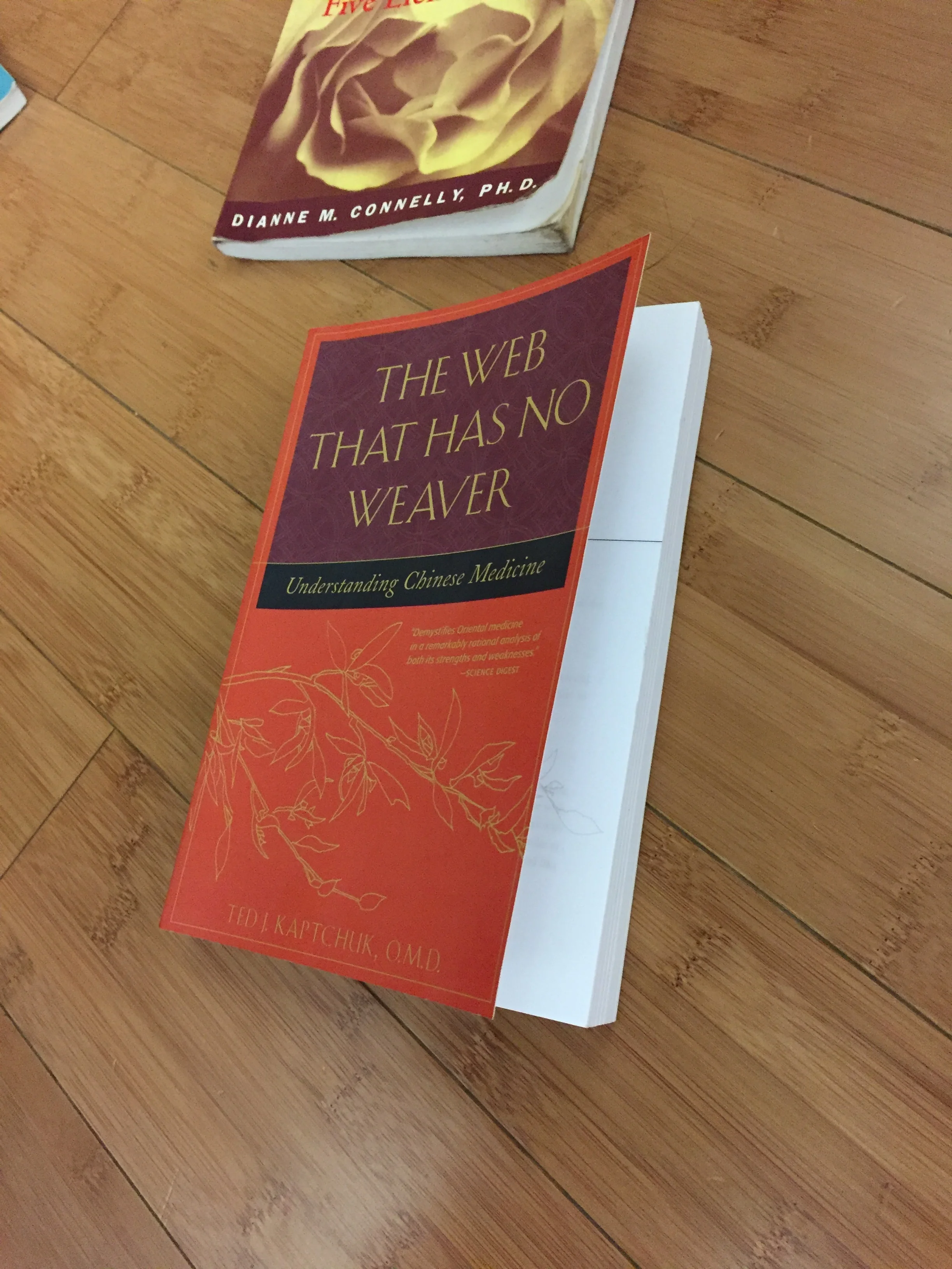 Single Private Yoga Session