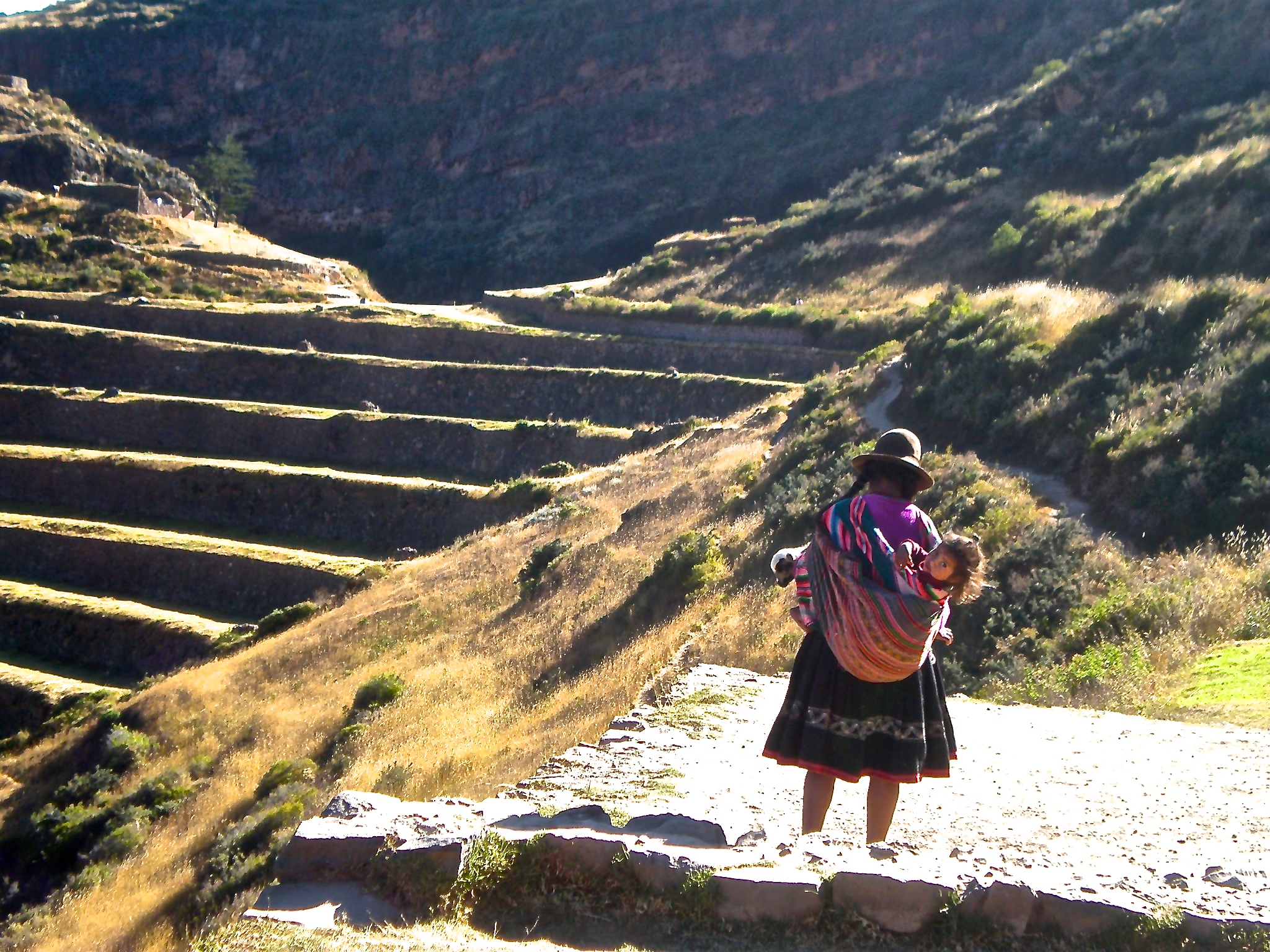 Lamb in the front. Kid in the back.