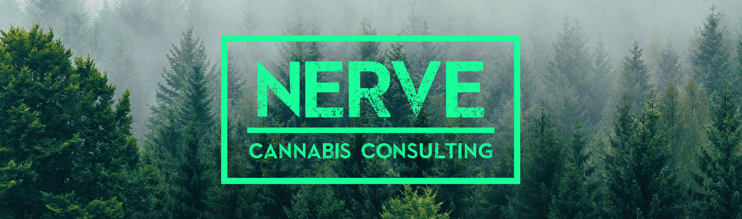 New_site_cover.jpg