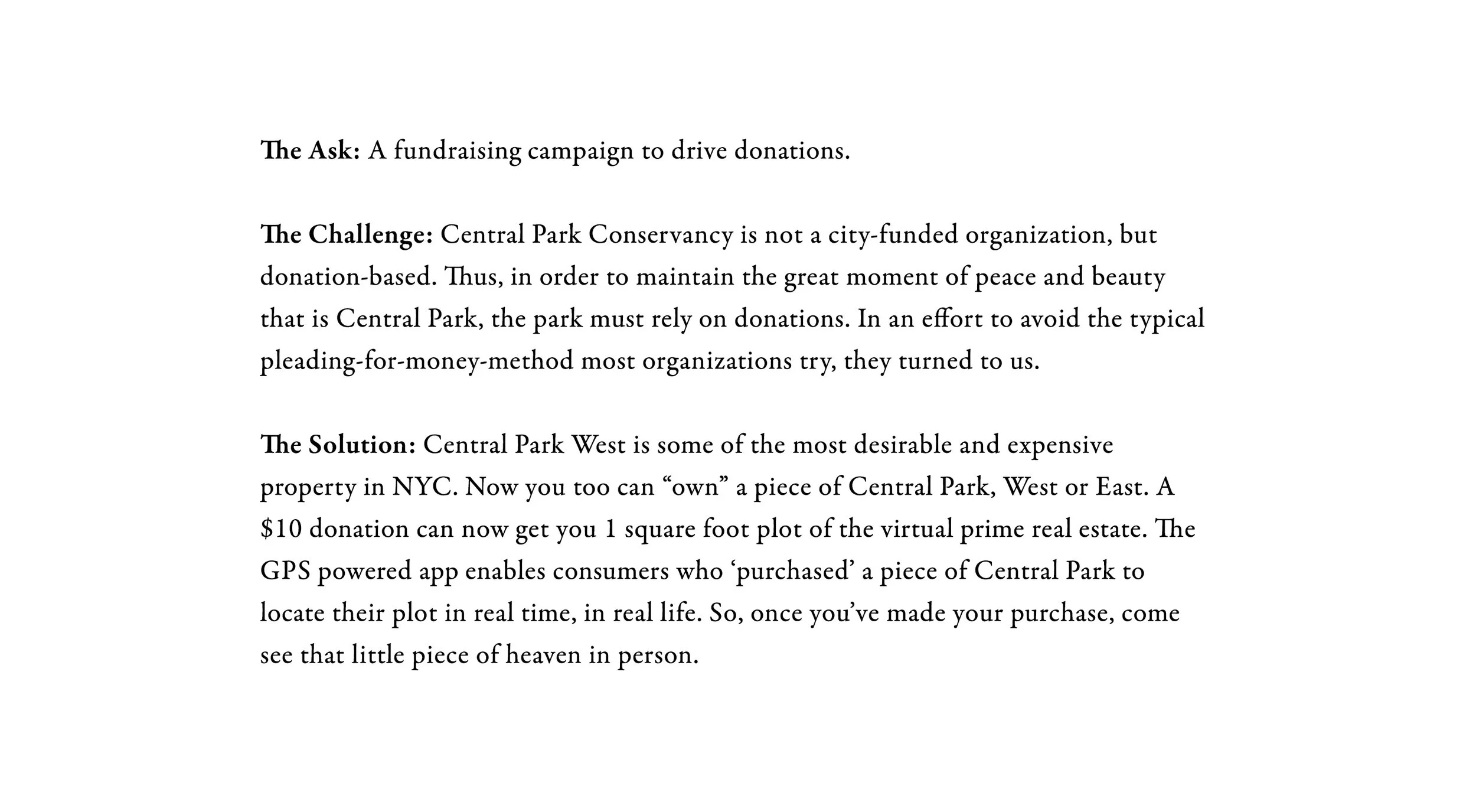 portfoliowriteups__central park.jpg