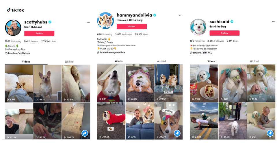 TikTok Influencer Campaign 