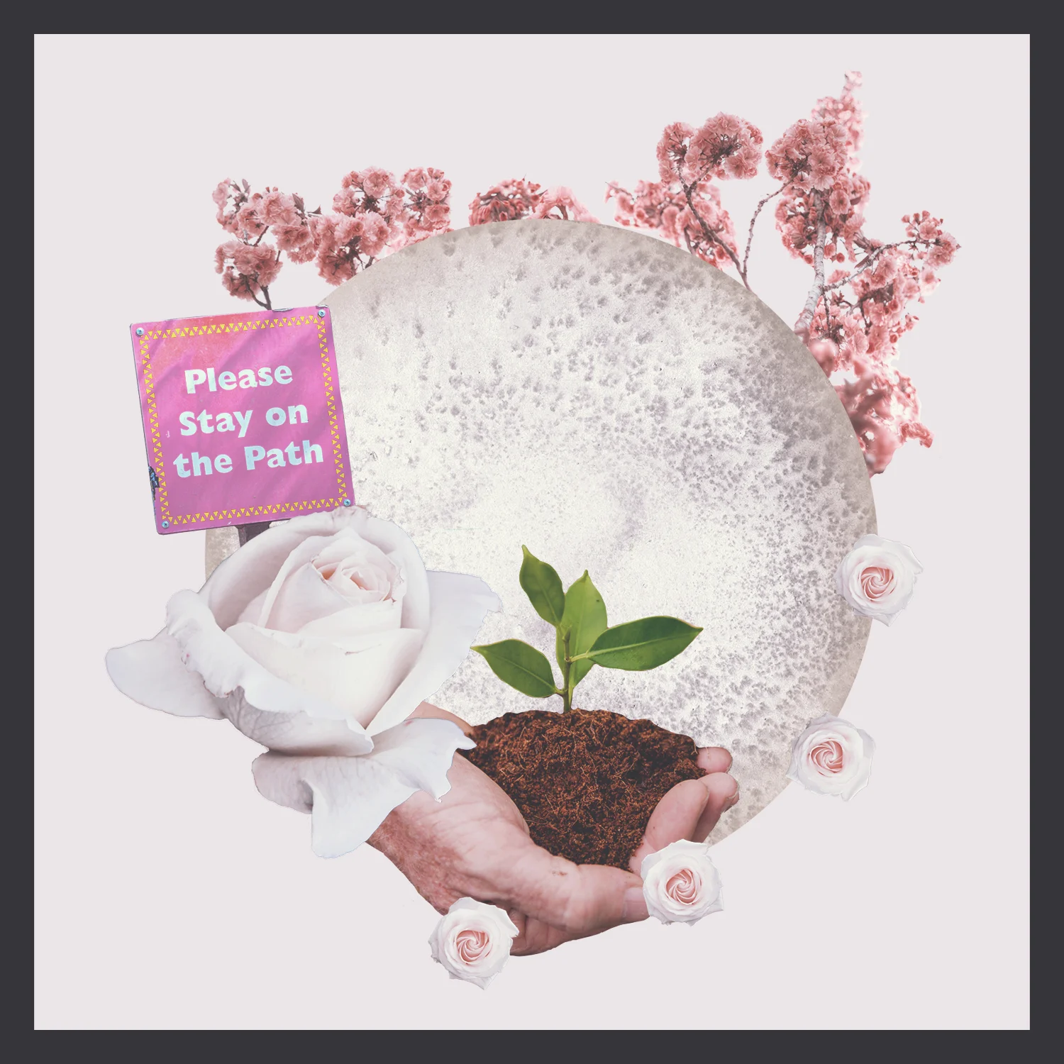 Large Rose Photo: Siora Photography Sign Photo: @mduffel Cherry Blossom Photo: @eberhard_grossgasteiger Hand with Plant Photo: @byrawpixel Small Roses Photo: @anniespratt Full Moon Art: @sweet_b_design Collage Art: @sweet_b_design