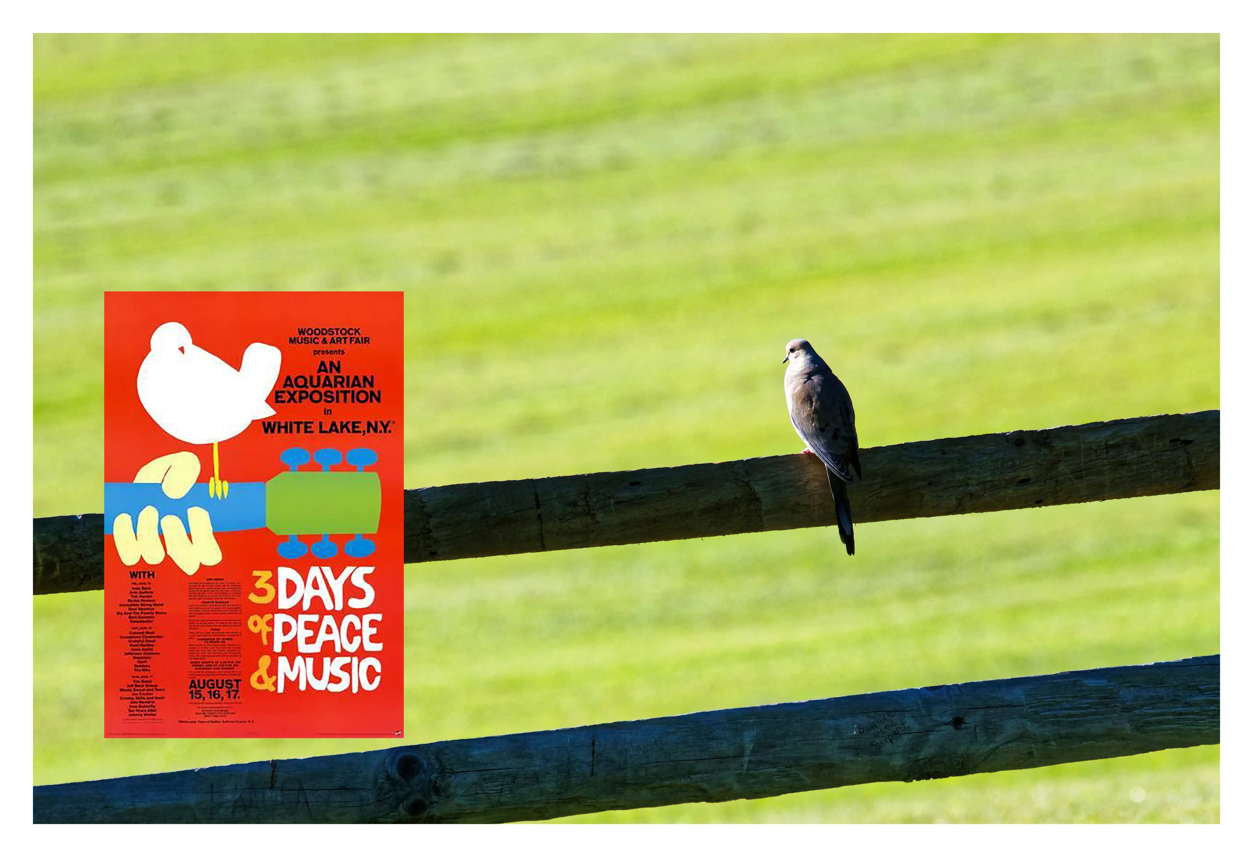 woodstock-plate-3.jpg