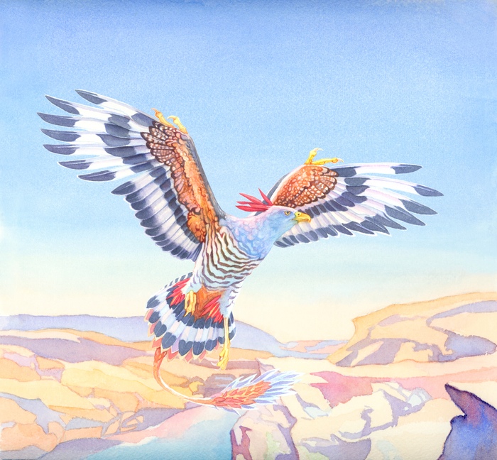 Evolution Flight Card