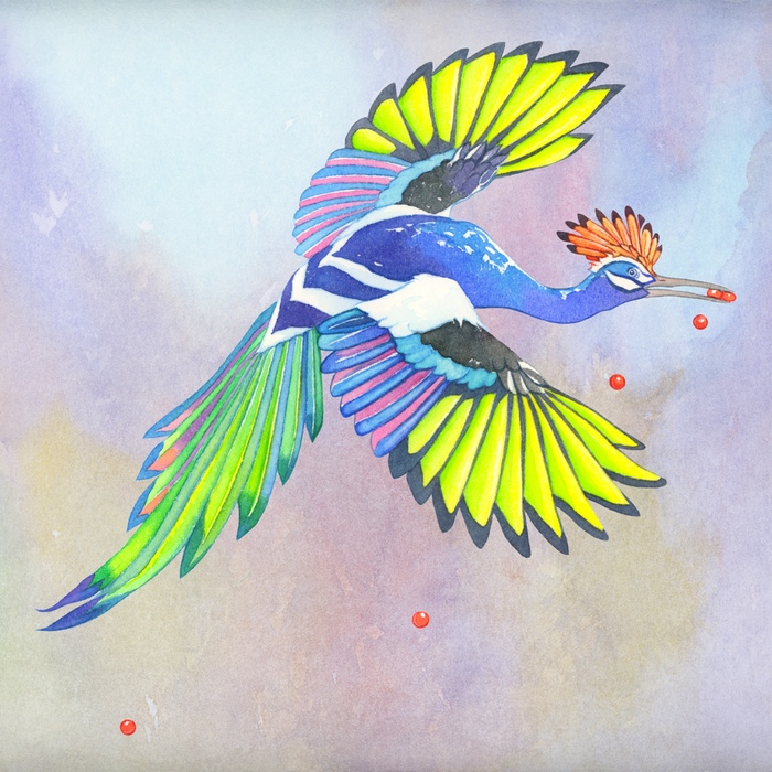 Evolution Flight Card