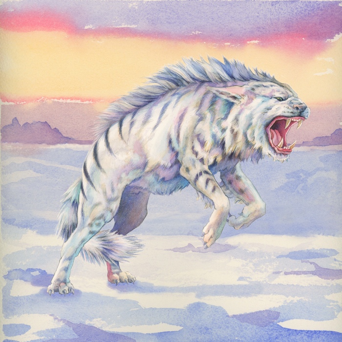 Evolution 2nd Edition Revised Art
