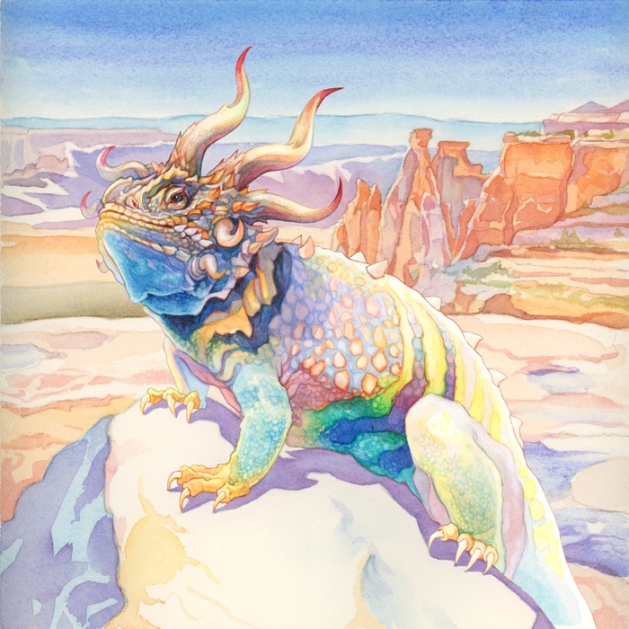 Evolution 2nd Edition Revised Art