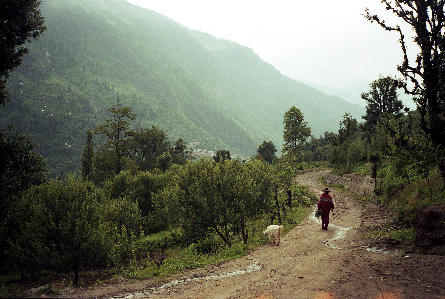 06.DYLAN_DEMARCHI_INDIA.jpg