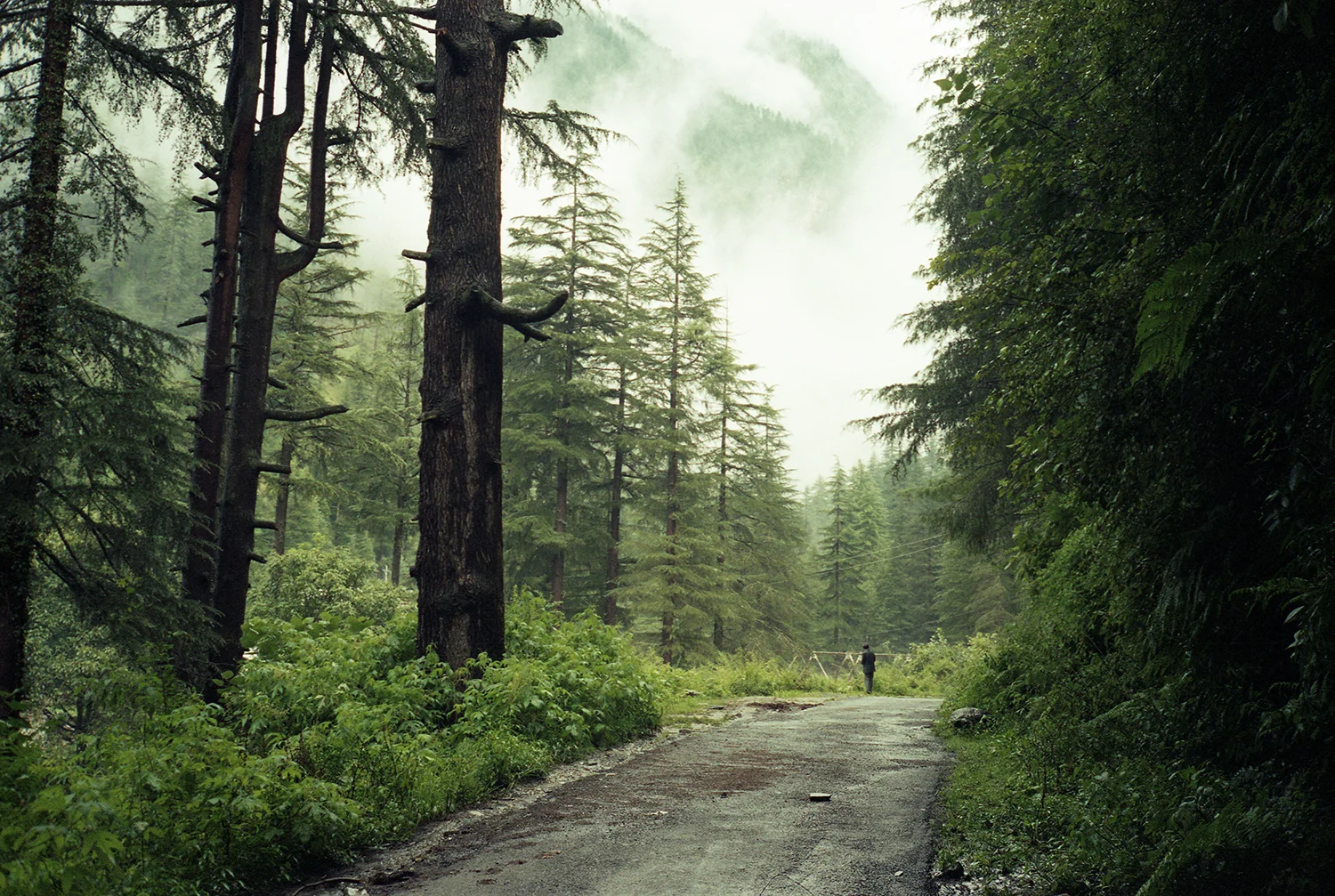 09.DYLAN_DEMARCHI_INDIA.jpg