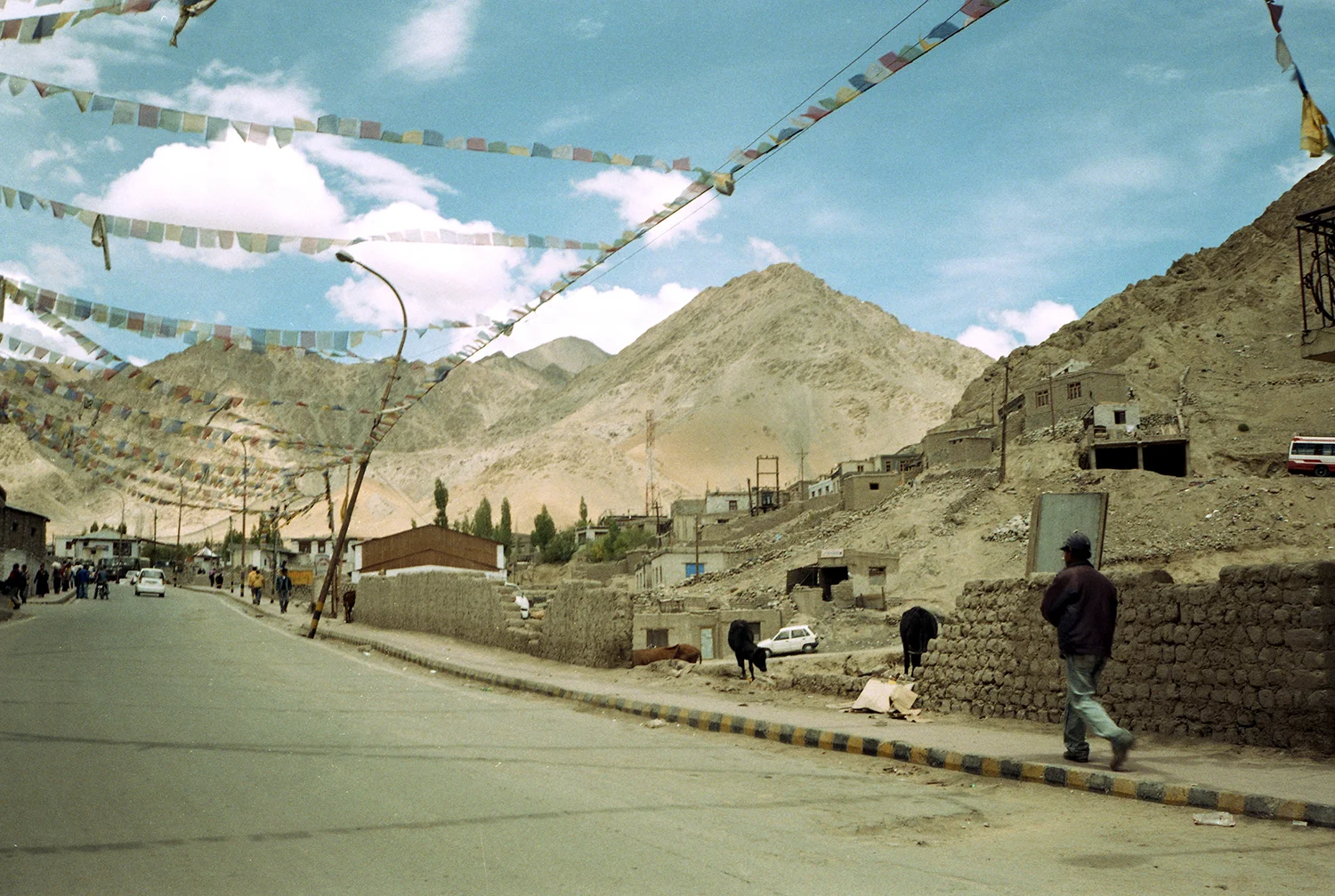 28.DYLAN_DEMARCHI_INDIA.jpg